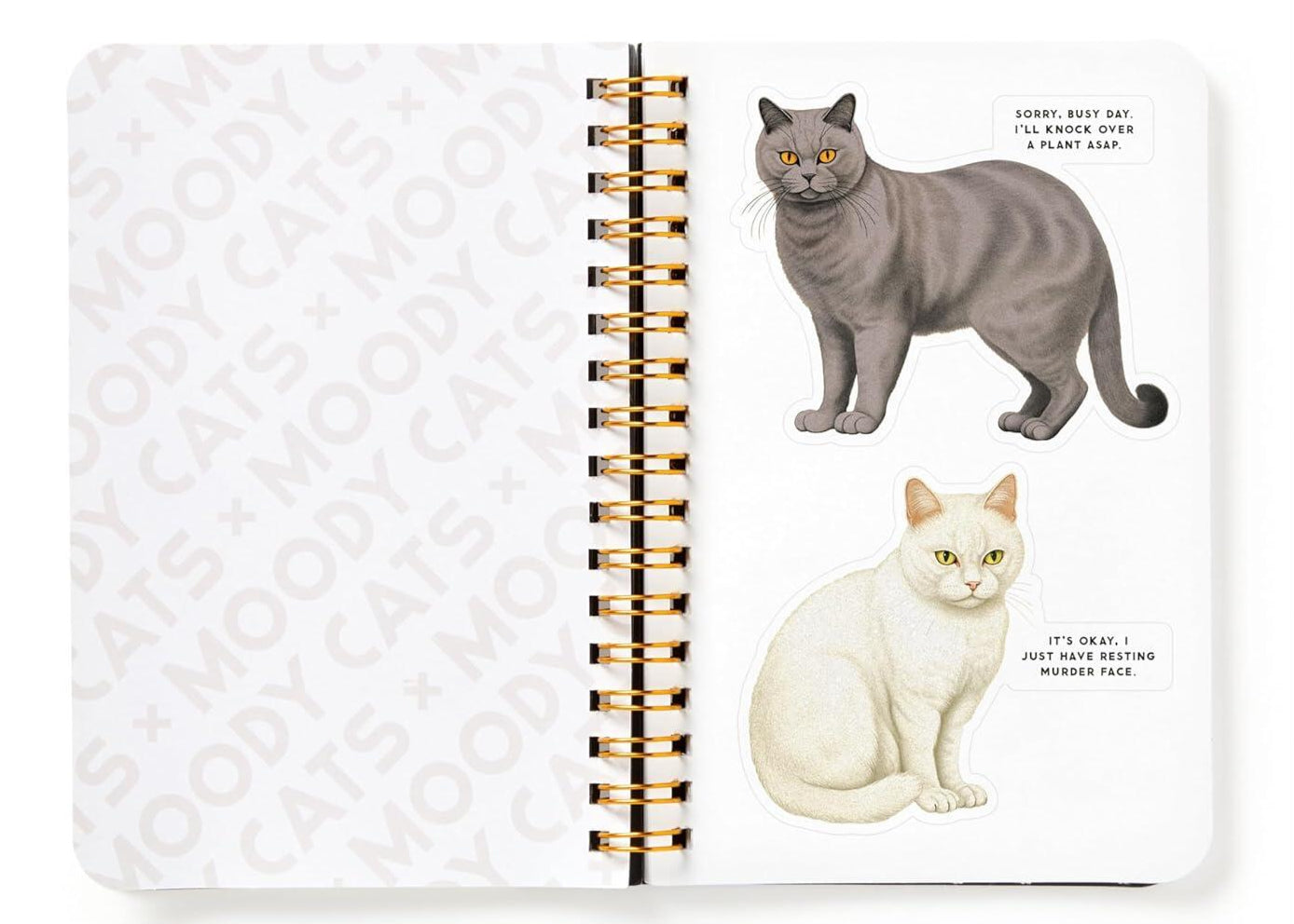 Moody Cats klistermærkebog